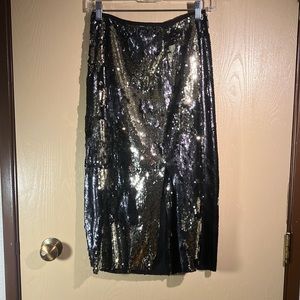 Zara Basic Sequin Skirt